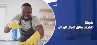 تنظيف منازل الرياض
